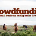 Crowdfunding – Can a small business really make it work?